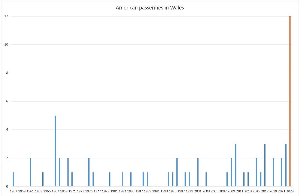 Chart showing that 12 American passerines were recorded in Wales last week. Previously, the most in a single year was 5, and many years see none.